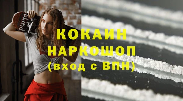 мдпв Новозыбков
