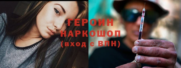 сатива Няндома