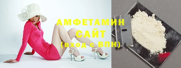 мдпв Новозыбков