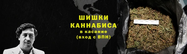 PSILOCYBIN Сосновка