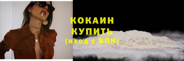 сатива Няндома