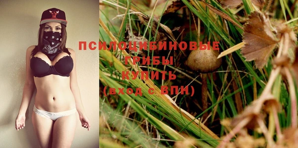 мдпв Новозыбков