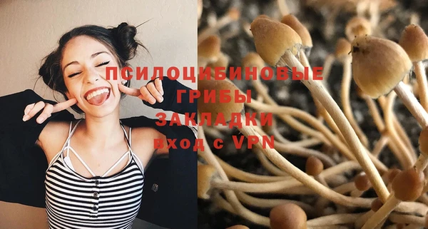 мдпв Новозыбков