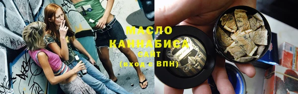 сатива Няндома