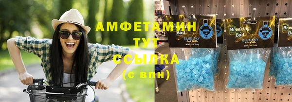 сатива Няндома