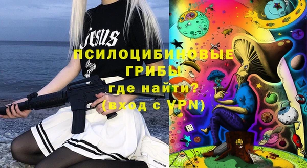 мдпв Новозыбков