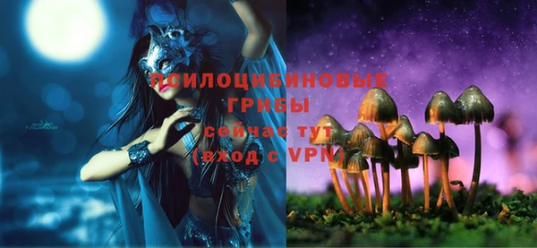 МДМА Новодвинск