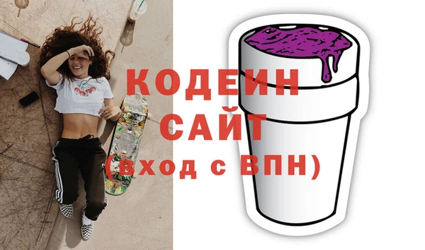 сатива Няндома