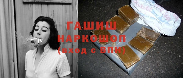 мдпв Новозыбков